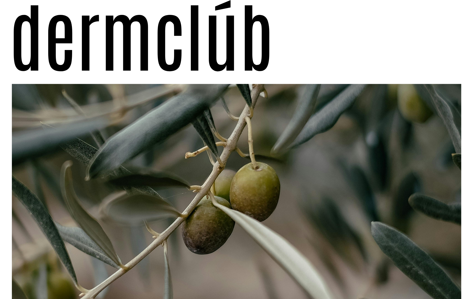 dermclúb