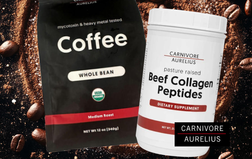 Carnivore Aurelius