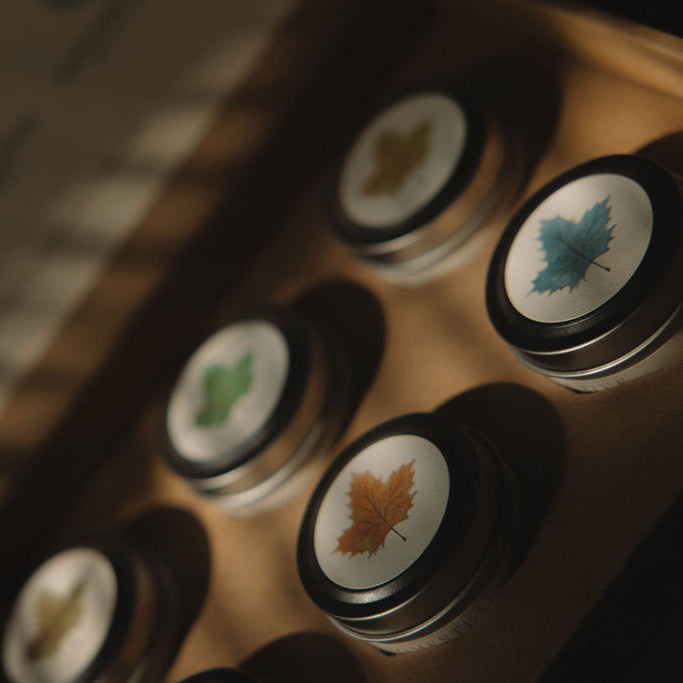 Seasonal Discovery Box