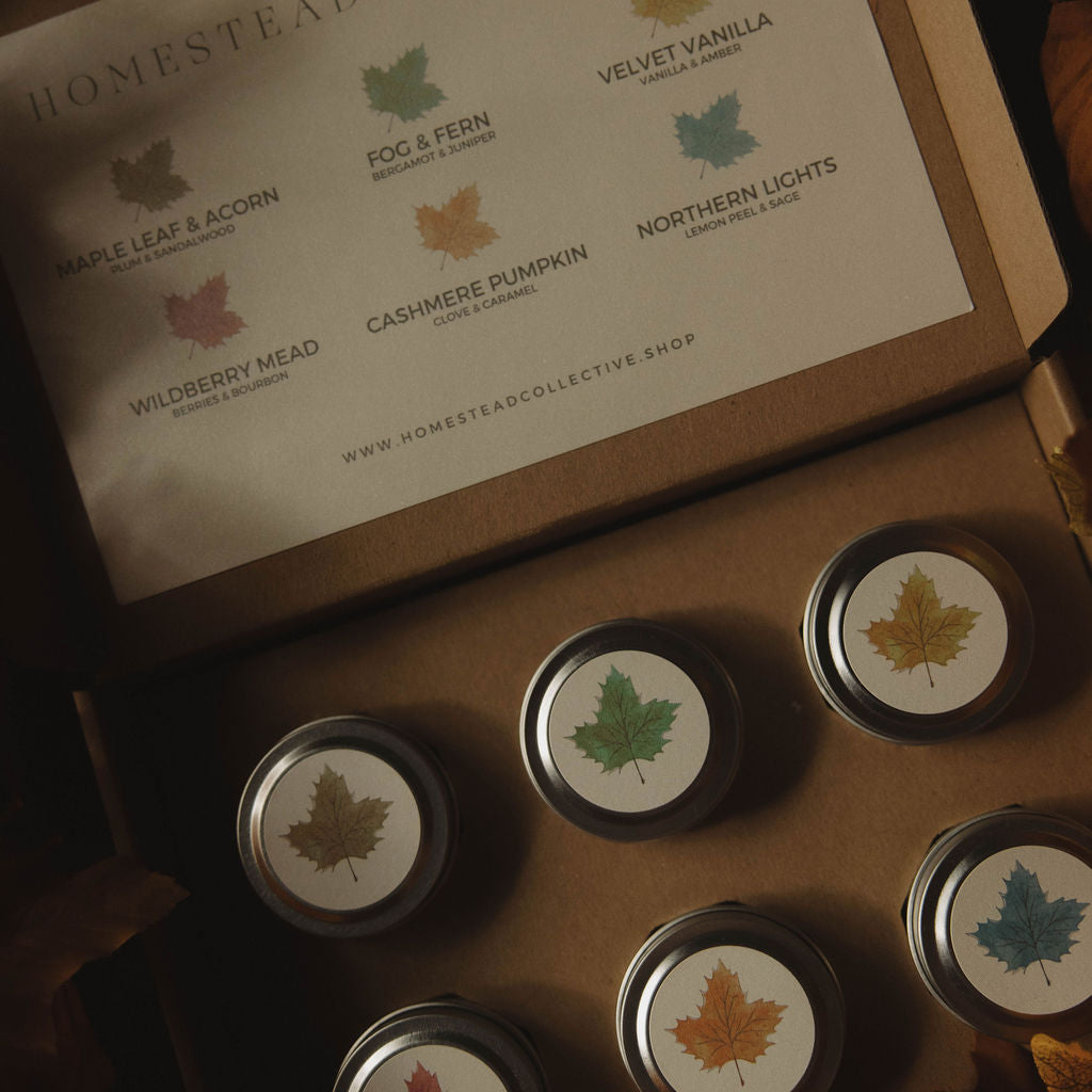 Seasonal Discovery Box
