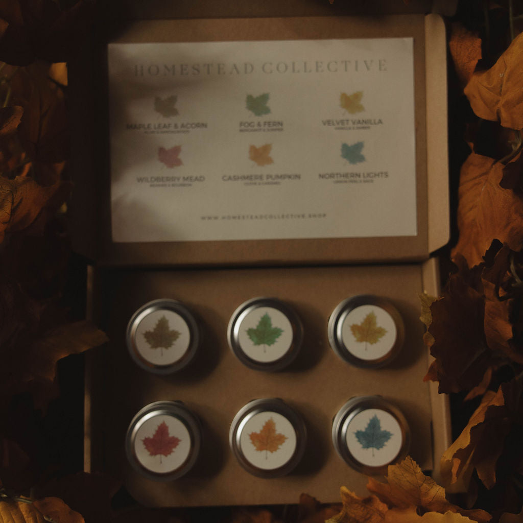 Seasonal Discovery Box