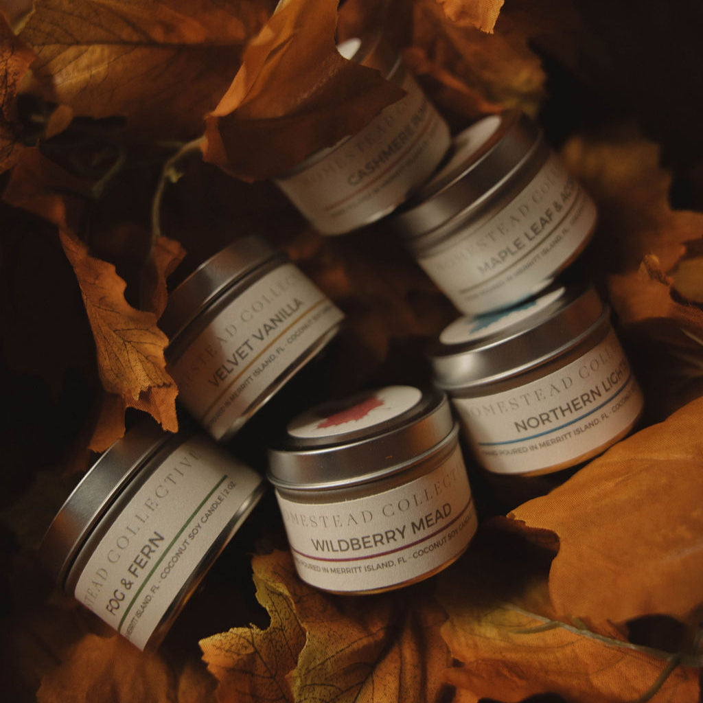 Seasonal Discovery Box