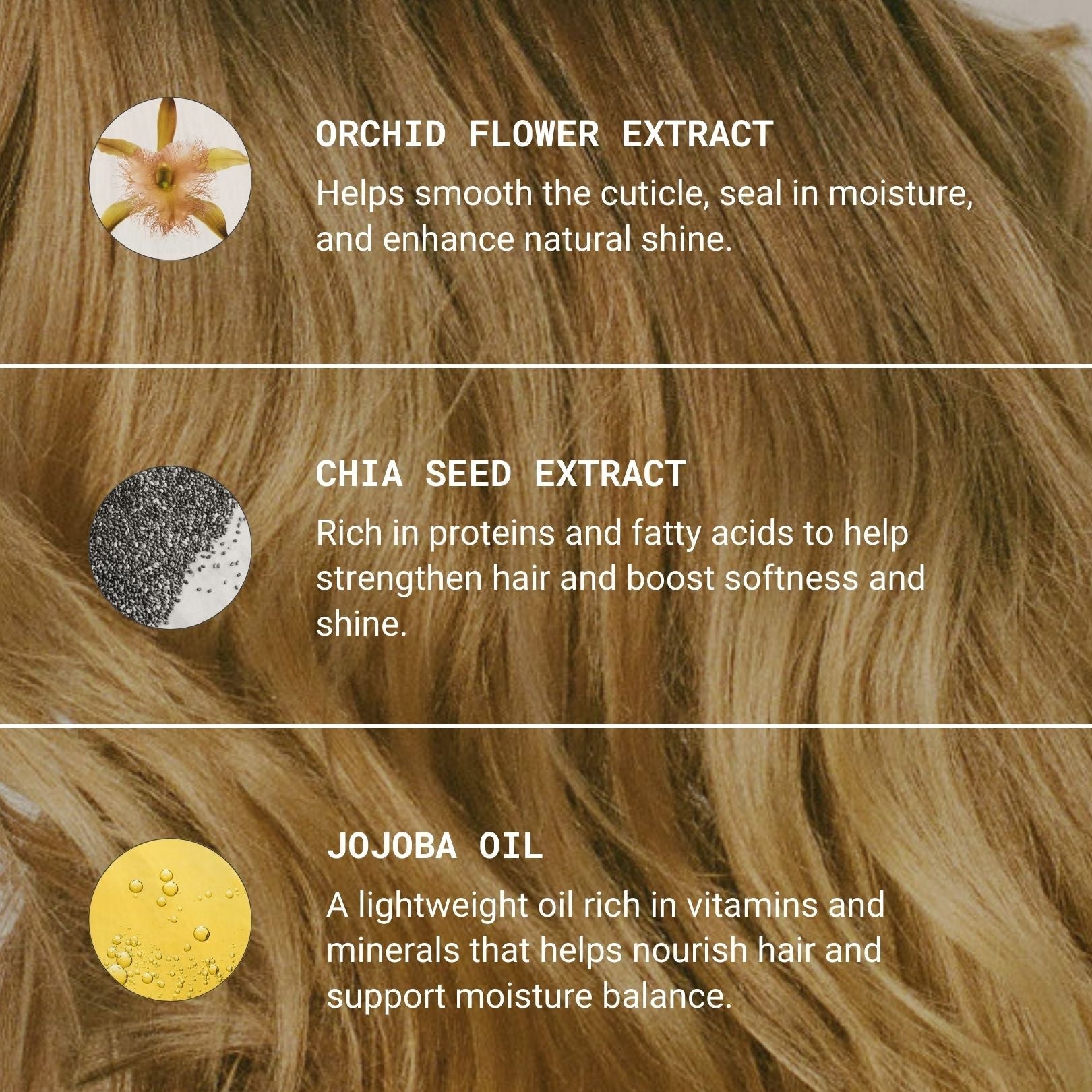 Nourishing Conditioner