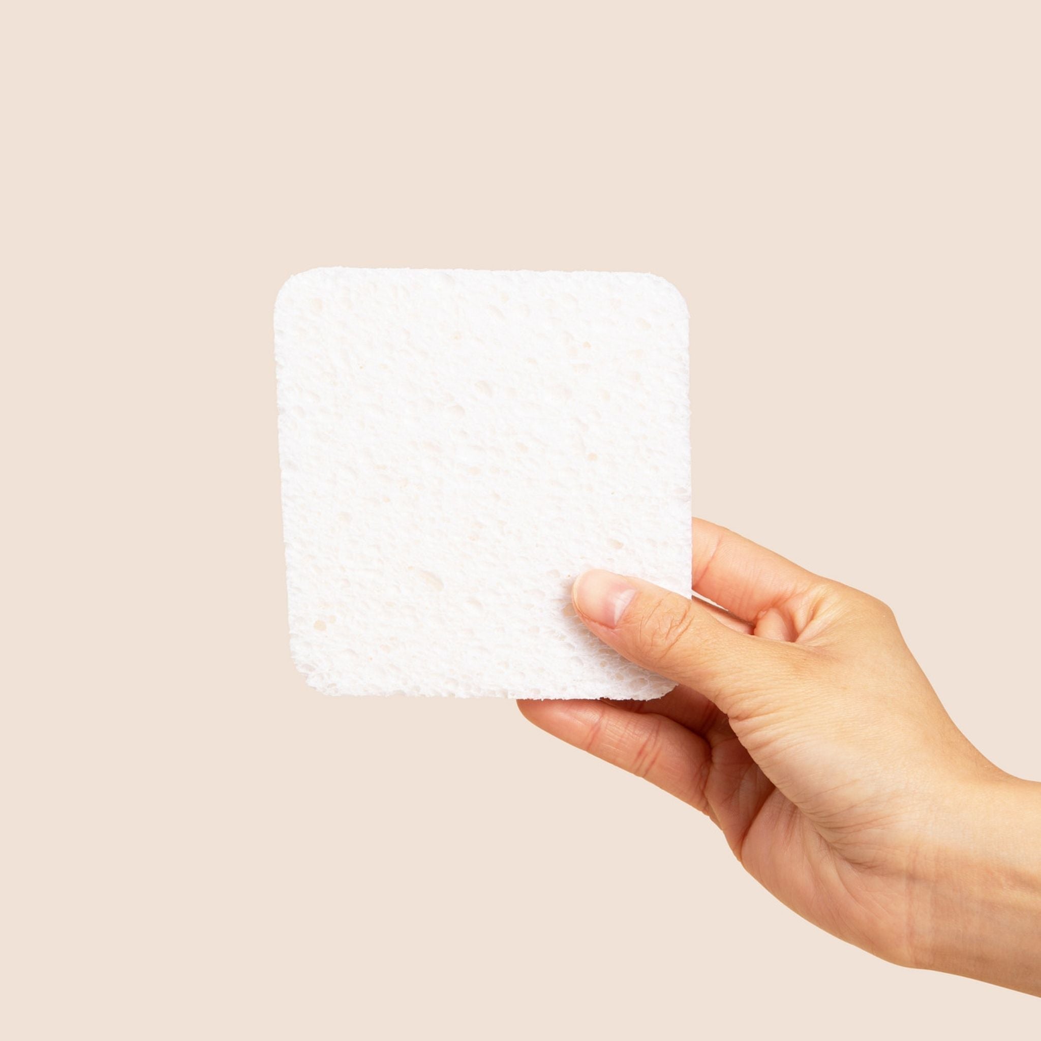 Soak Sponge