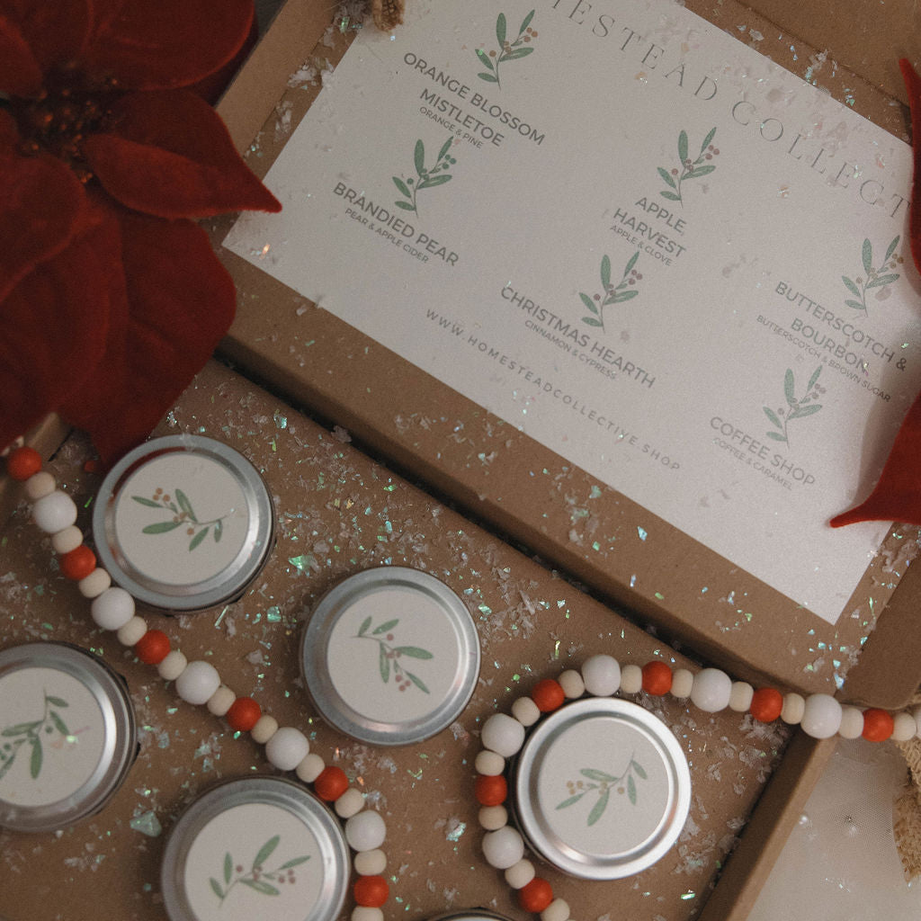 Seasonal Discovery Box